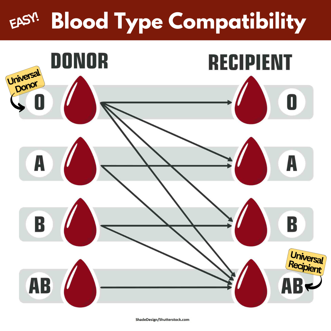 Compatible Plasma Chart Baalaji Blood Center